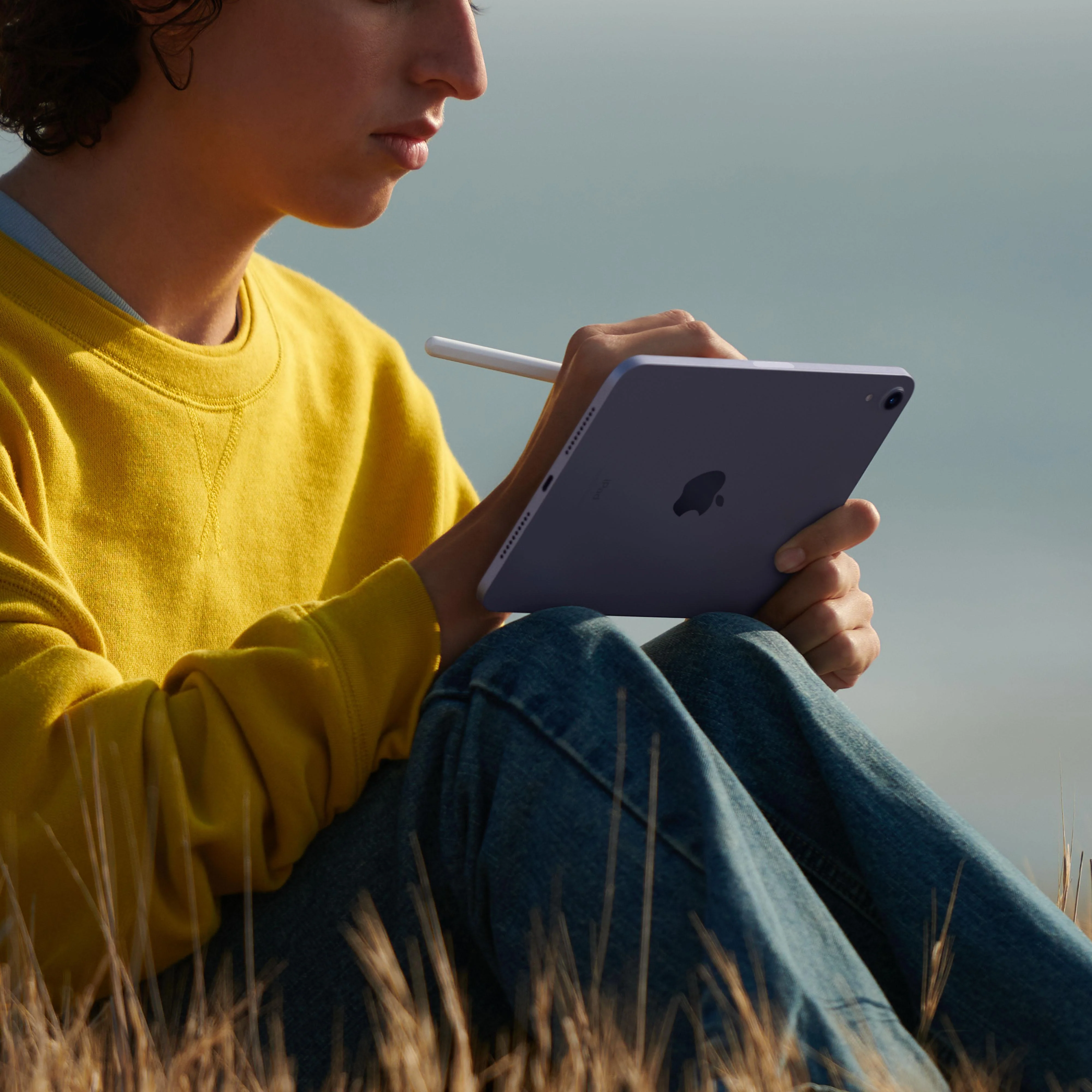 iPad mini Wi-Fi + Cellular 256GB - Pink (6th generation) - Image 6